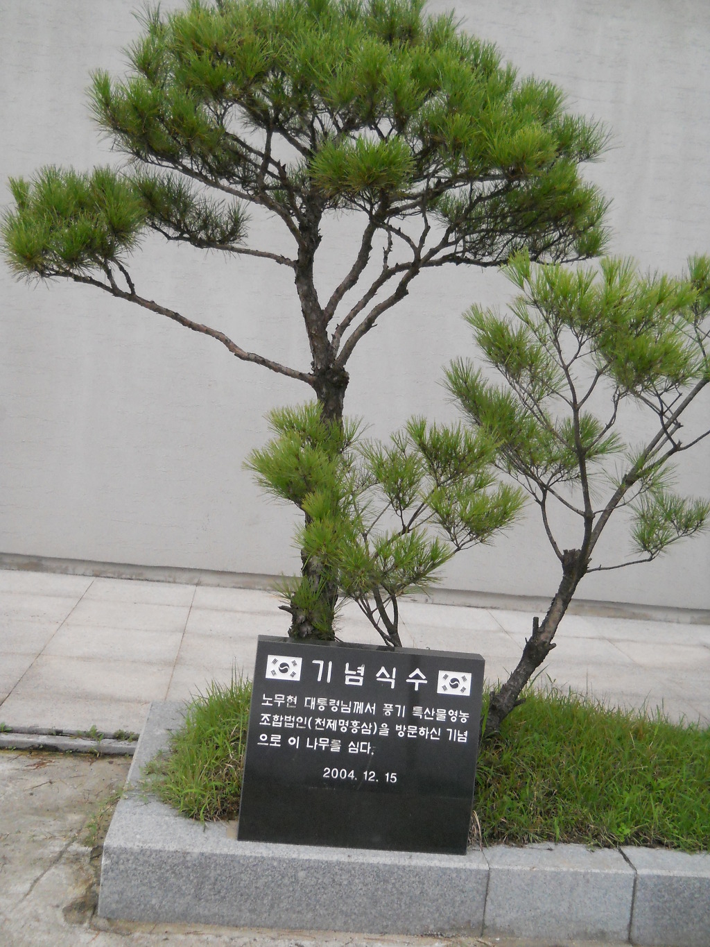 창락 이미지