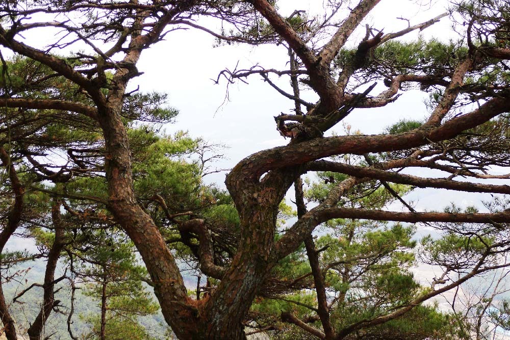 대산면(순창) 이미지