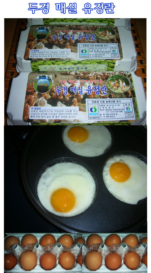 두경 이미지
