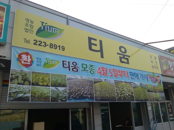 육거리고추 이미지