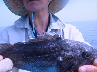 블루마린호 이미지
