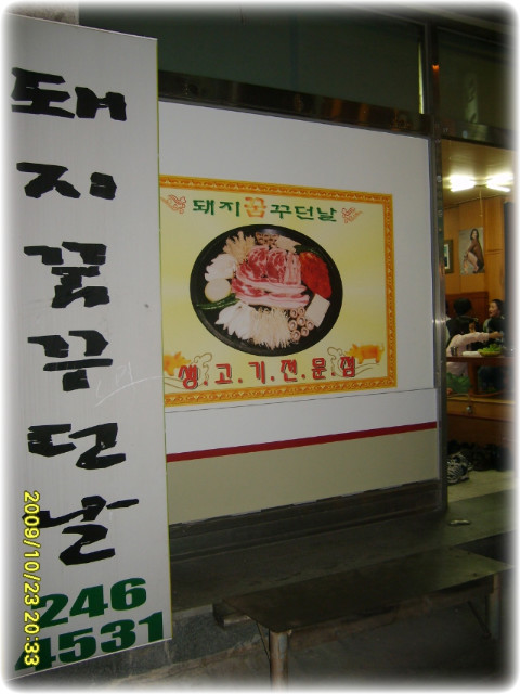 돼지꿈꾸던날 이미지
