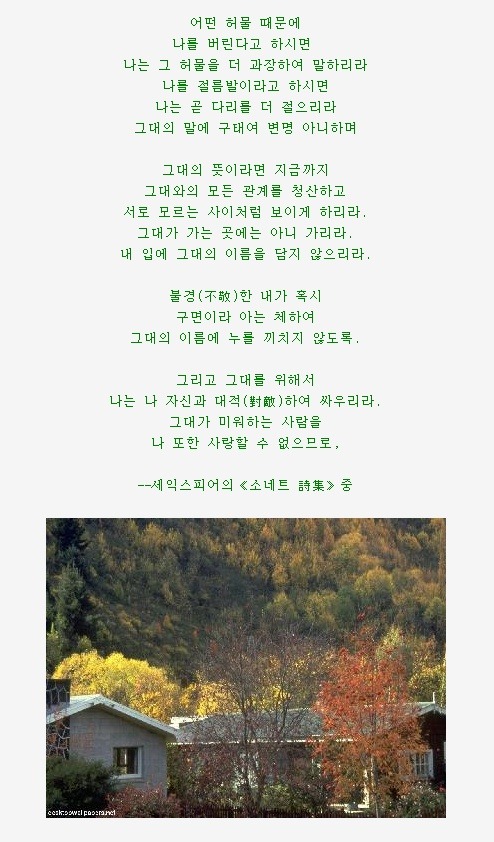 소네트 이미지