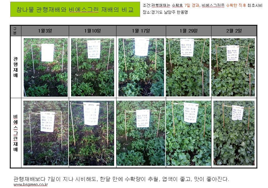 비에스랜드 이미지