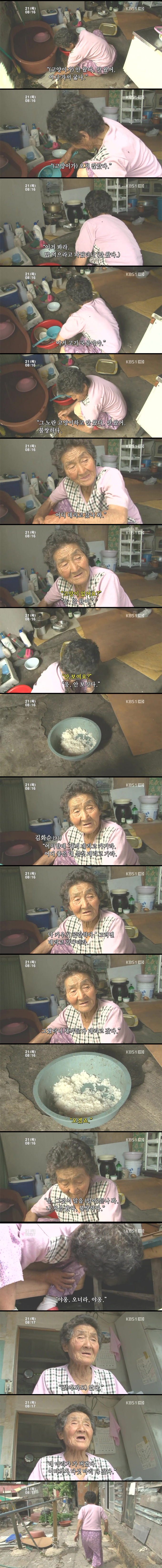 고양이 구박하는 훈할머니.JPG | 인스티즈