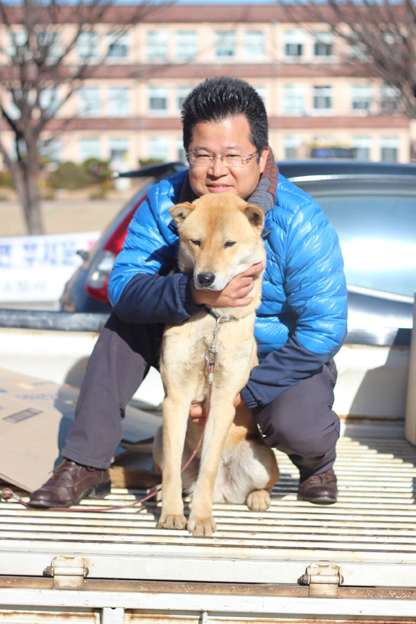 시호와 이미지