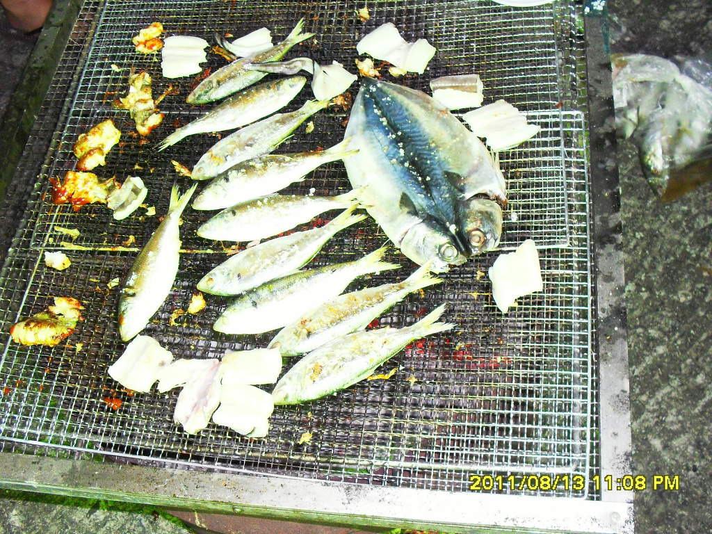 고기밥 이미지