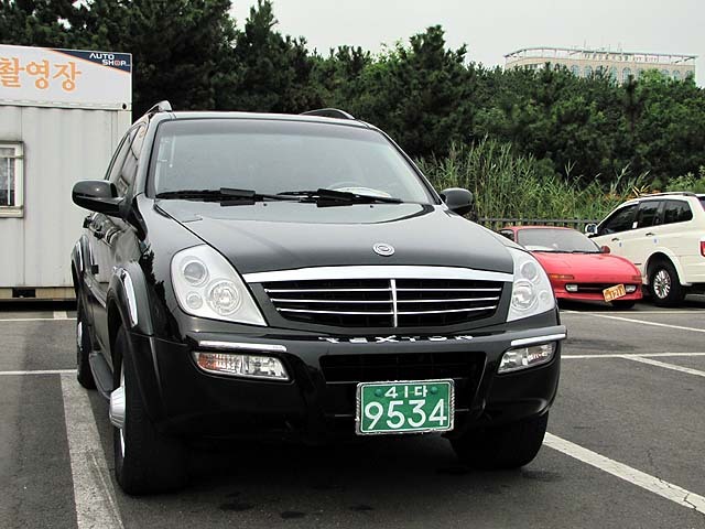 소유색 이미지