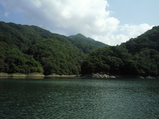 파라호 이미지