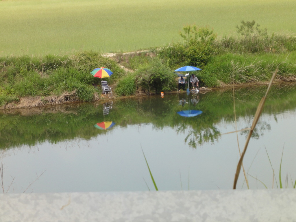 형제민박 이미지