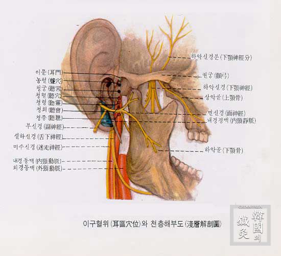 두경 이미지