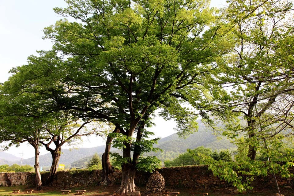 전라남도 순천 낙안읍성 마을의 진짜 한국적인 풍경 (안구정화) | 인스티즈