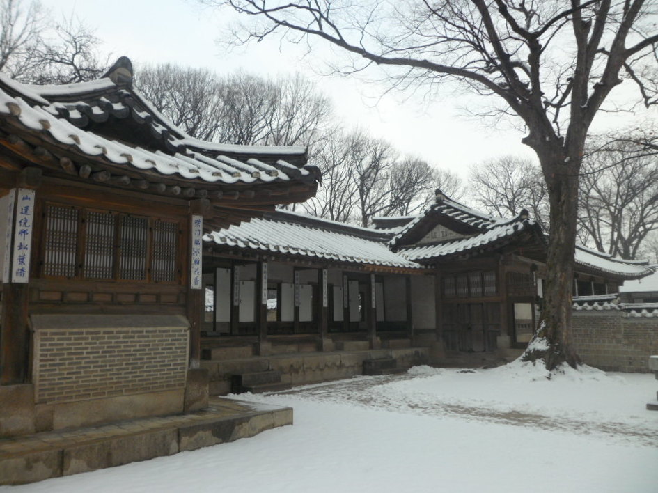 비원 이미지