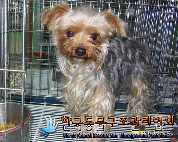 수컷 이미지
