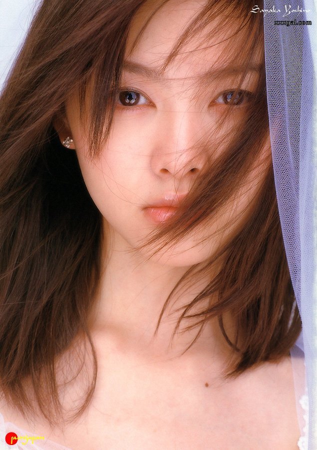 하이얀 이미지