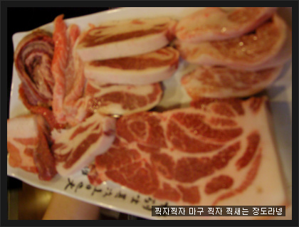 지금,돼지 이미지