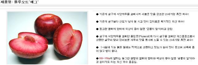 한국원예종묘 이미지