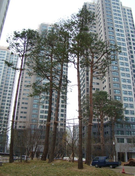 GS25 반포타운 이미지
