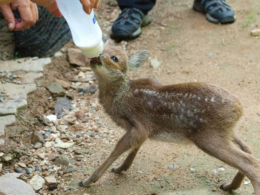 성마루 이미지