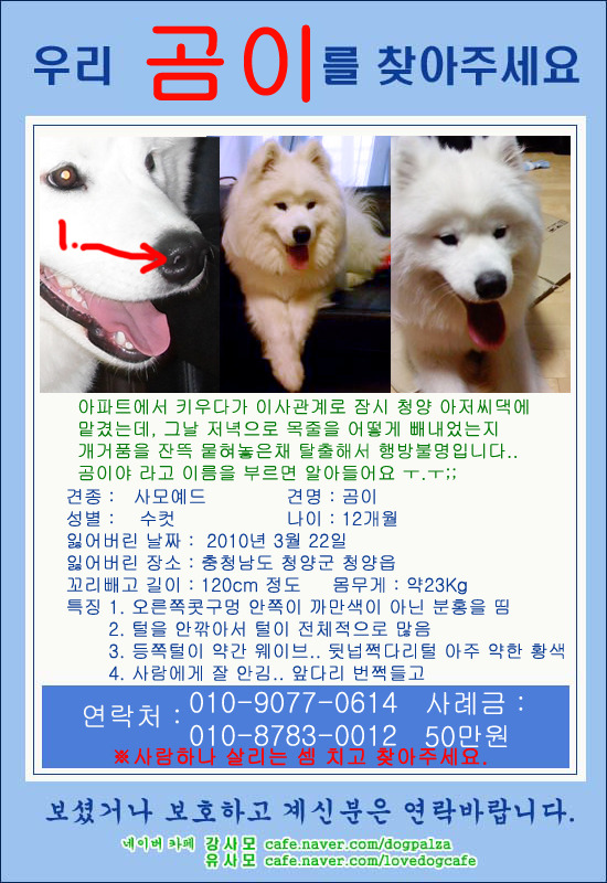 충남댁 이미지