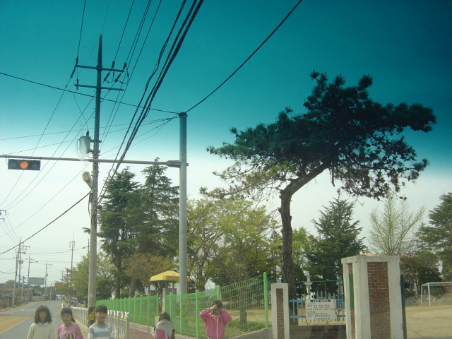 서수초등학교 이미지