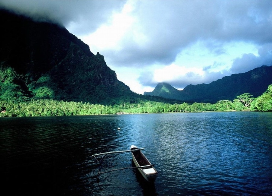 2046D33A4EFC3ADA1482DE