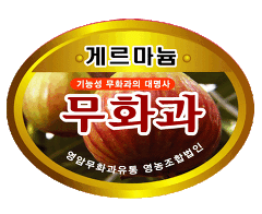 법인탑유통 이미지