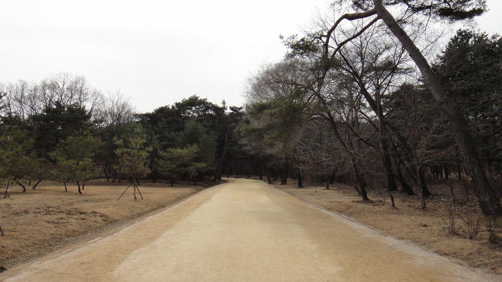 천연머리염색 이미지