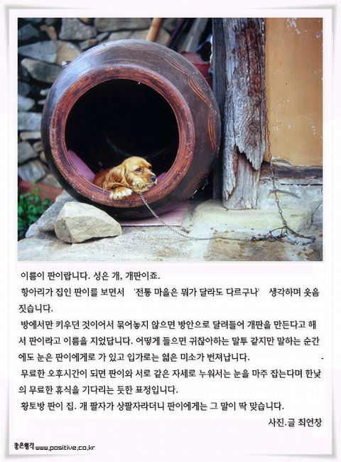 명선 이미지