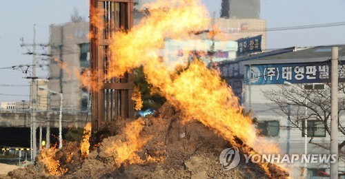 보면서 겁나 아깝단 생각드는 뉴스 | 인스티즈