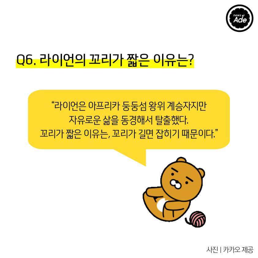 라이언에 대한 궁금증 7가지 | 인스티즈