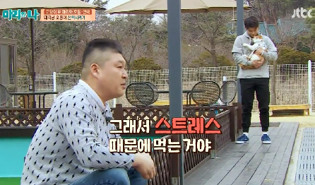 [마리와나] 뚱보냥 호동이 다이어트 시키기 (feat.먼지) | 인스티즈