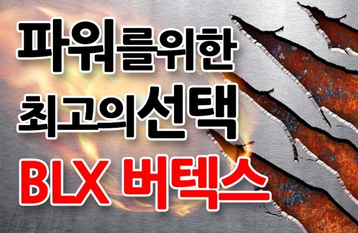 민턴홀릭 이미지