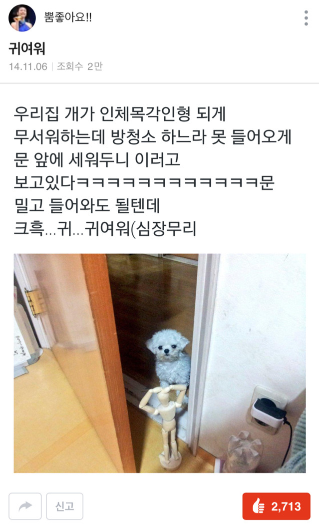 주인아 이거좀 치워조ㅜ.ㅜ | 인스티즈