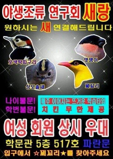 이화여대 야생 조류 연구회 홍보지 | 인스티즈