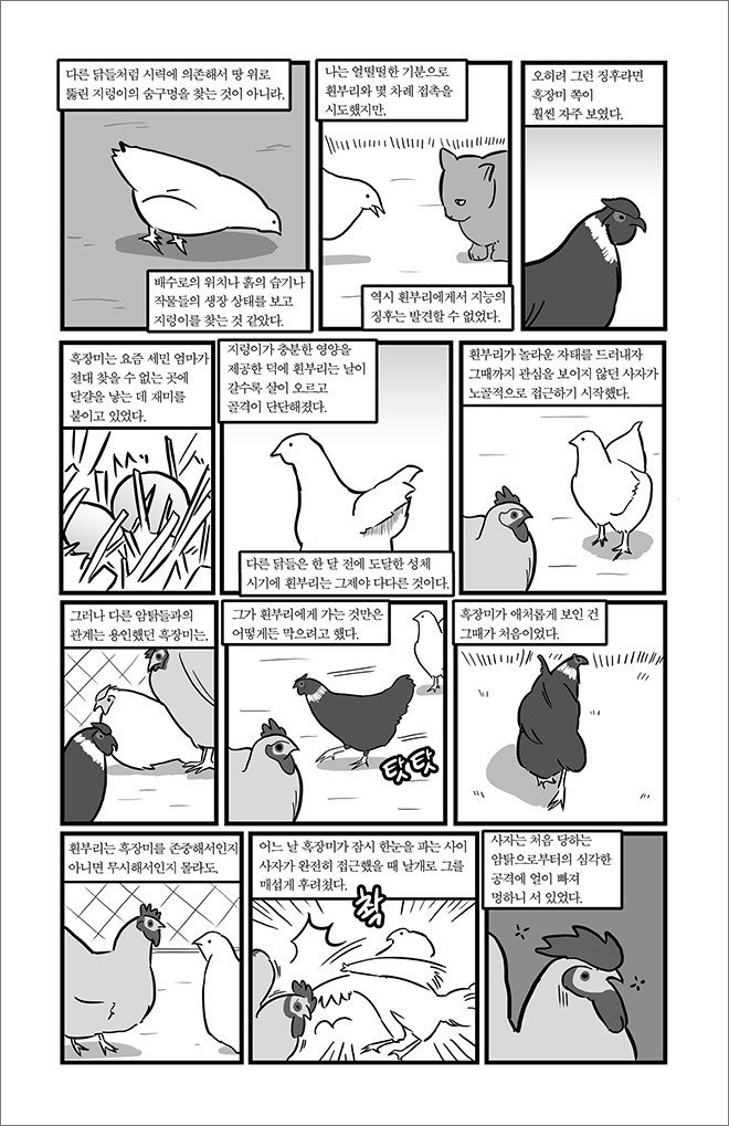 묘생만경 | 인스티즈