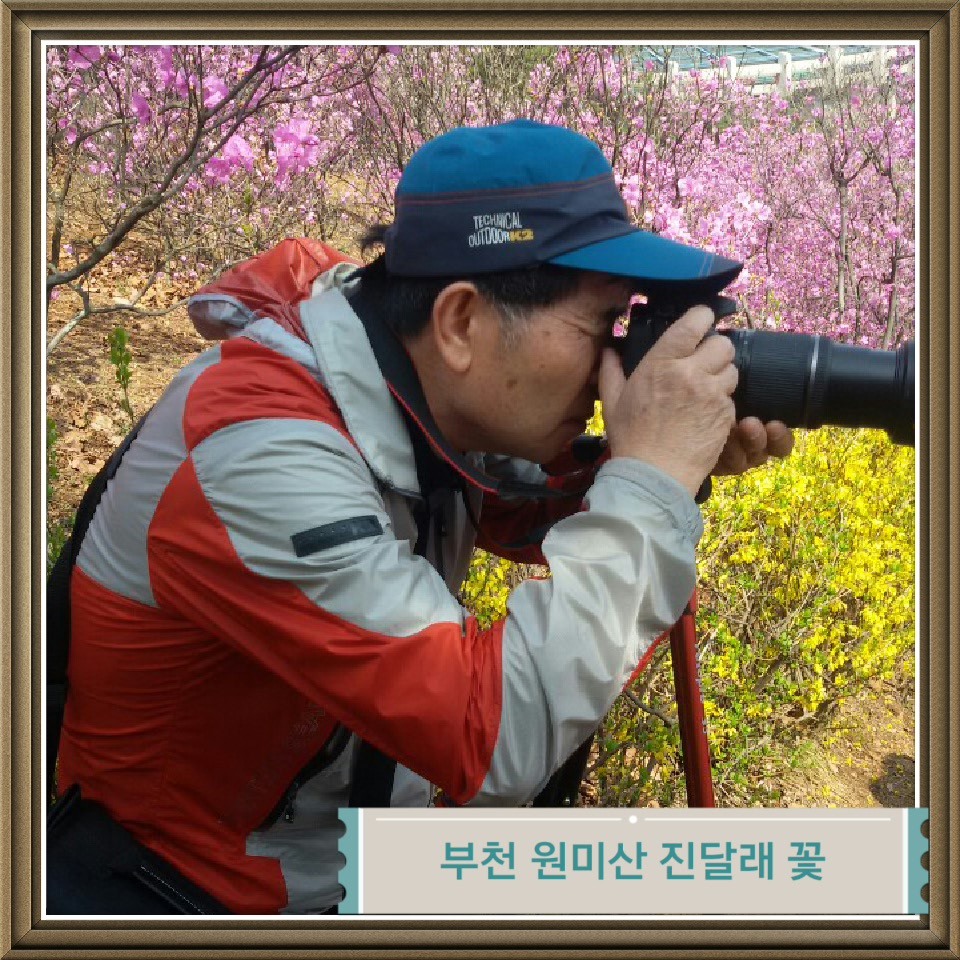 컴사랑 이미지