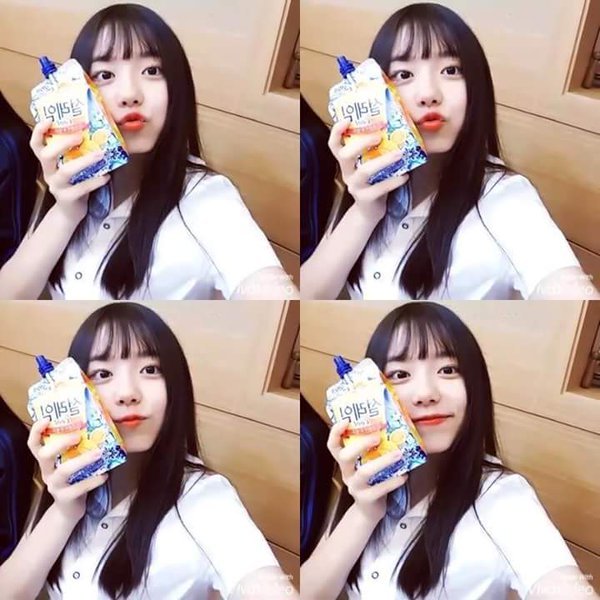 오늘자 프로듀스101 마이돌 득표율 순위 | 인스티즈