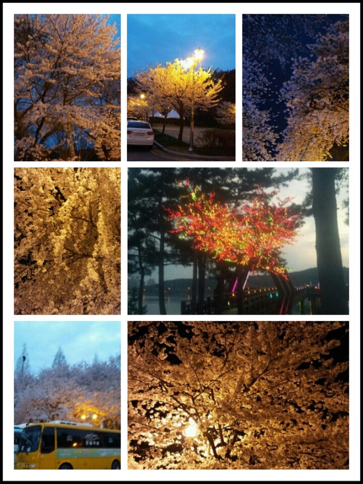 삼거리매운탕 이미지