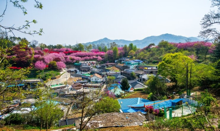전주 완산공원 꽃동산 - 관광객보다 전주 시민들이 더 많이 가는 곳 | 인스티즈