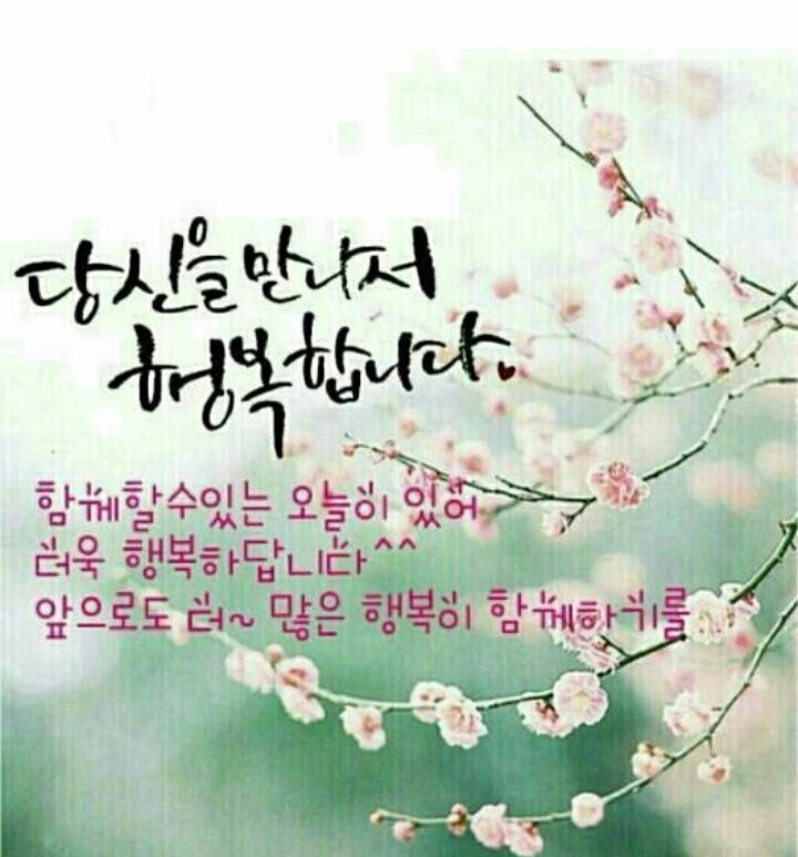 도반 이미지