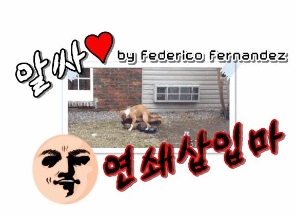 묘한 느낌의 영화 한장면 모음 15탄.gif | 인스티즈