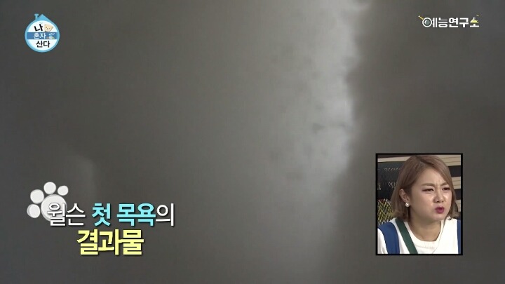 [나혼자산다] 윌슨 씻기는 전현무ㅋㅋㅋㅋㅋㅋㅋㅋㅋㅋㅋㅋ | 인스티즈