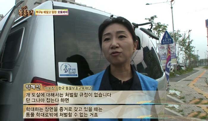 [TV동물농장] 동물농장에서 방송된 인천의 한 개 도축장의 현실.jpg | 인스티즈