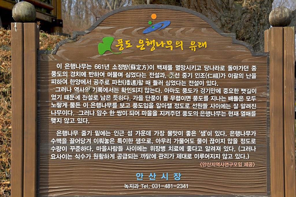 어촌풍경 이미지