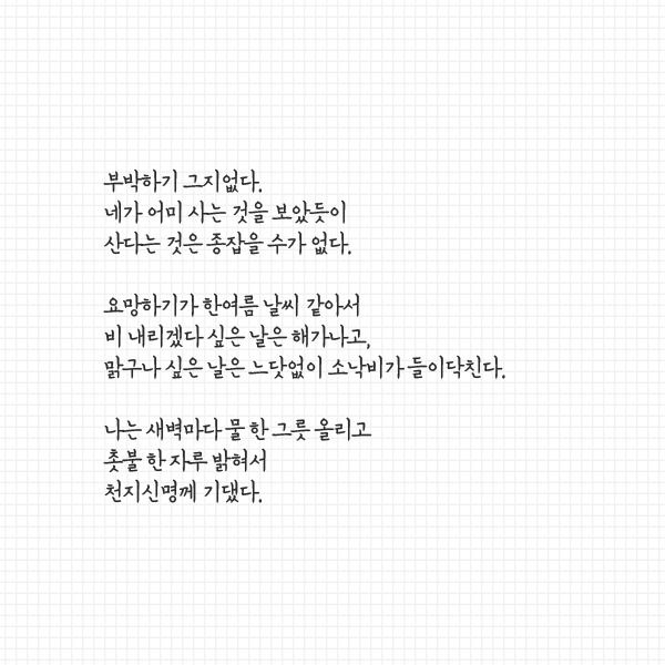 임태주 시인 어머니가 남긴 마지막 편지 | 인스티즈