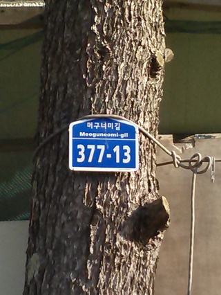 직매 이미지