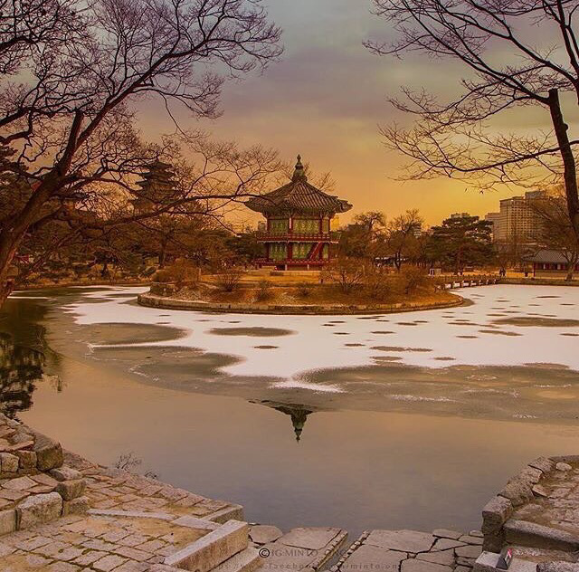 각자 살기 바빠 잊고 지내는 서울의 아름다움 | 인스티즈