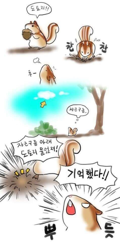 여미다 이미지