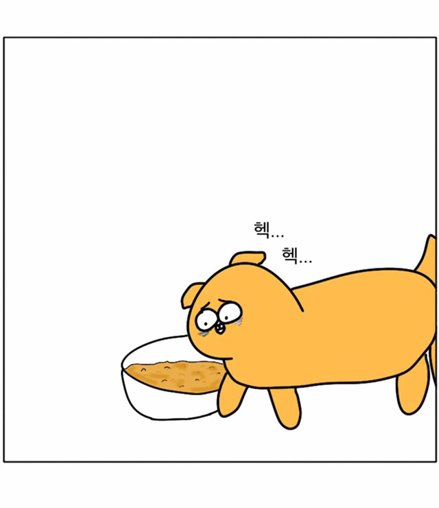 강아지가 우리 곁을 떠날 때 | 인스티즈
